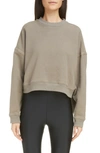 Saint Laurent Cropped-hem Cotton-jersey Sweatshirt In Mastic