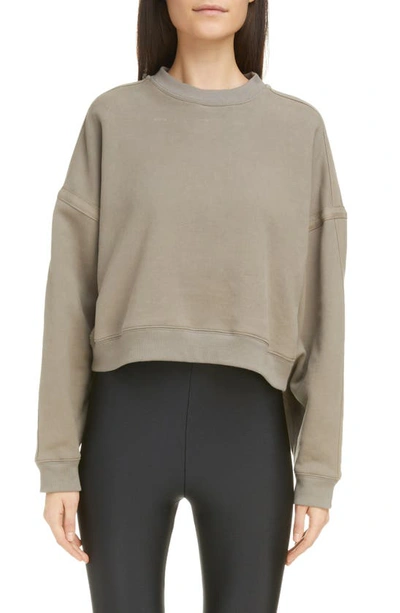 Saint Laurent Cropped-hem Cotton-jersey Sweatshirt In Mastic