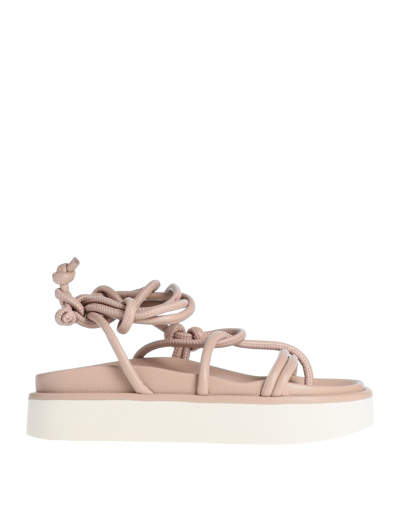 Eqüitare Toe Strap Sandals In Pink