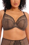 Elomi Matilda Full Figure Underwire Plunge Bra In Animal Print