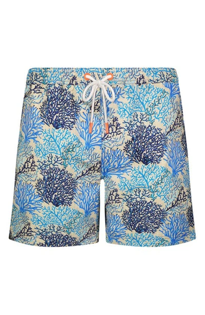 Swims Corallo Swim Trunks In Sapphire