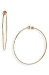 Jenny Bird Icon Large Hoop Earrings In High Polish Gold