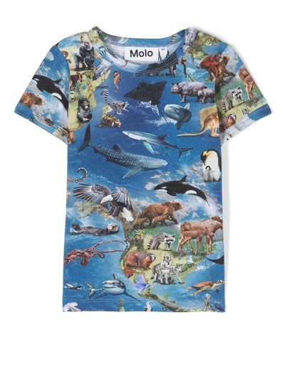 Molo Babies' Graphic-print T-shirt In Blue