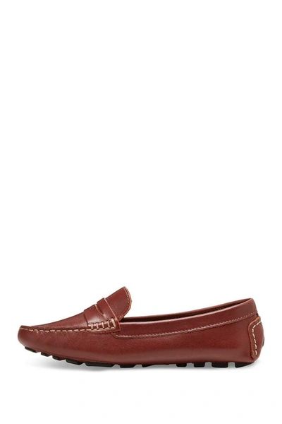 Eastland Patricia Leather Moc Loafer In Walnut