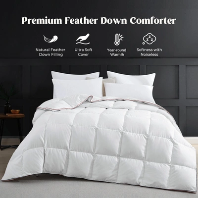 Peace Nest Soft Gusseted Design Down Feather Blend Comforter Duvet Insert Year Round Fluffy In White