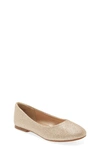 Dream Pairs Kids' Ballerina Flat In Gold/glitter