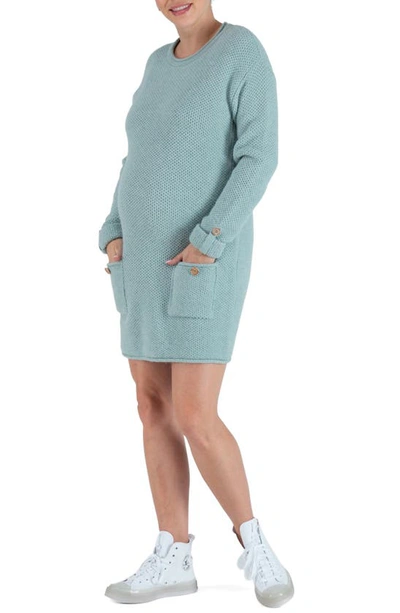 Cache Coeur Honey Long Sleeve Maternity/nursing Jumper Dress In Sage