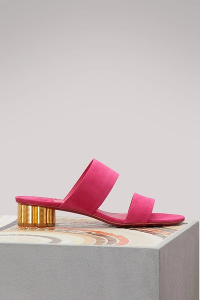 Ferragamo Women's Suede Floral Heel Slide Sandals In Begonia