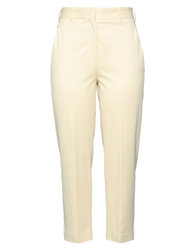 Circolo 1901 Pants In Yellow