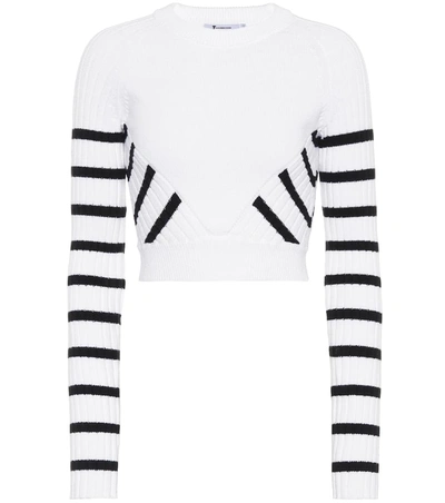 Alexander Wang T T By Alexander Wang Striped Crop Sweater In White