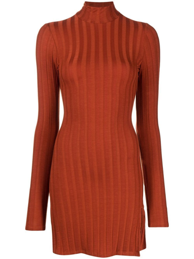 Reformation Libra Mock Neck Long Sleeve Knit Minidress In Oxide