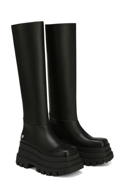 Naked Wolfe Sasha Platform Tall Boot In Black