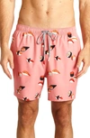 Rainforest Rock & Roll Trunks In Flamingo Pink