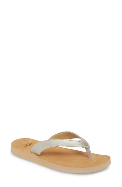 Ugg Tawney Flip Flop In Silver Leather