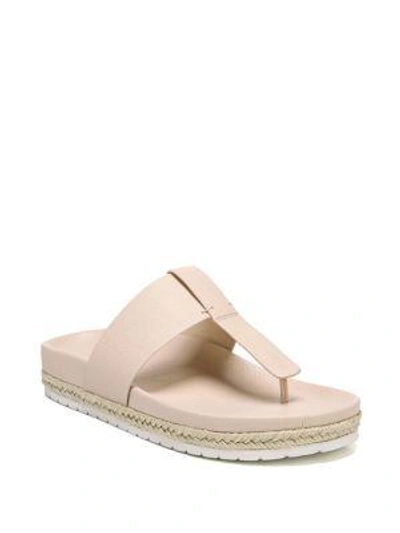 Vince Avani T-strap Flat Sandal In Blush