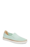 Ugg Sammy Sneaker In Aqua