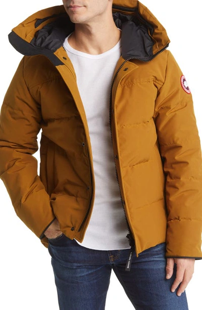 Canada Goose Macmillan Water Repellent 625 Fill Power Down Parka In Yellow