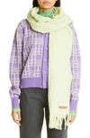 Acne Studios Logo-patch Fringed Scarf In Pale Green