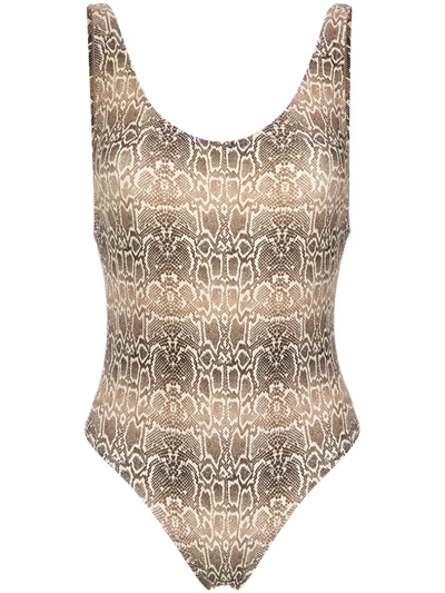 Amir Slama Snake Print Swimsuit In Brown