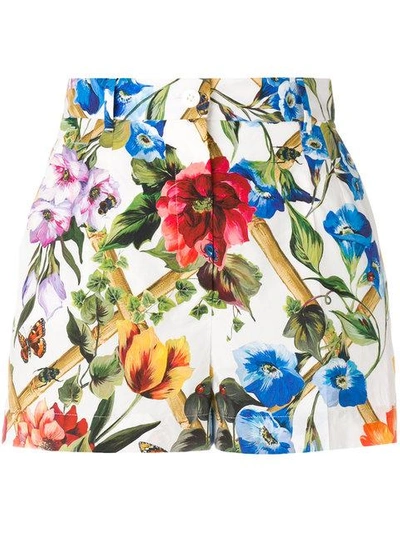 Dolce & Gabbana Floral-print Cotton-poplin Shorts In White