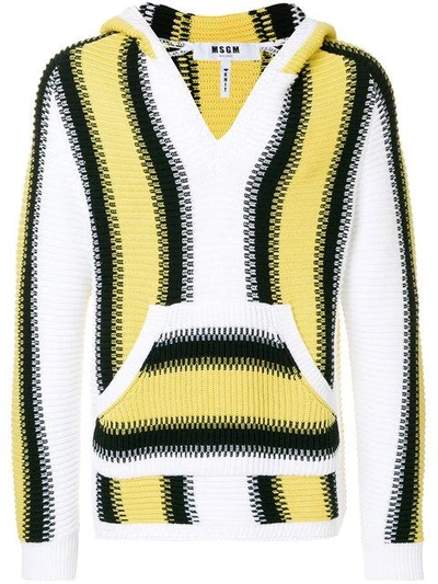 Msgm Striped Rib Knit Hoodie In Multicolour
