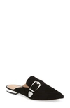 Linea Paolo Ace Buckle Pointed Toe Mule In Black Suede