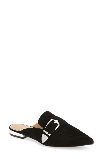 Linea Paolo Ace Buckle Pointed Toe Mule In Black Suede