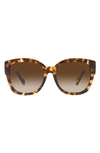 Michael Kors Baja 56mm Gradient Square Sunglasses In Tort