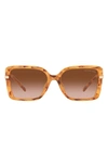 Michael Kors Castellina 55mm Gradient Square Sunglasses In Dark Brown