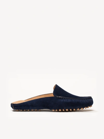M. Gemi The Felize Mule In Navy