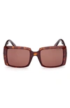 Moncler Promenade 53mm Square Sunglasses In Havana/brown Solid