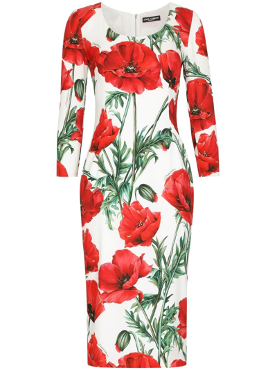 Dolce & Gabbana Poppy-print Midi Dress In White,multicolor