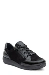 Ara Ollie Lace-up Sneaker In Black