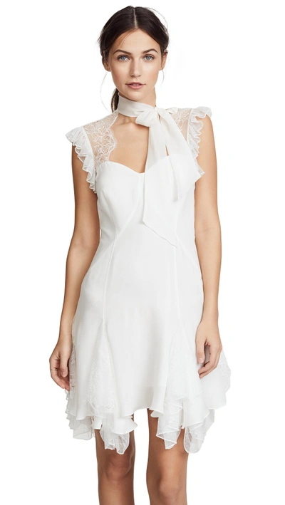amelie lace dress Amlie Lace Dress