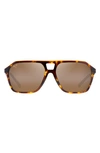 Maui Jim Wedges Polarized Aviator Sunglasses, 57mm In Tortoise With Amber Interior