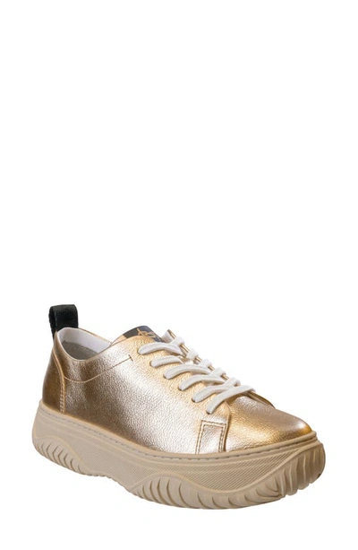 Otbt Pangea Low Top Trainer In Gold