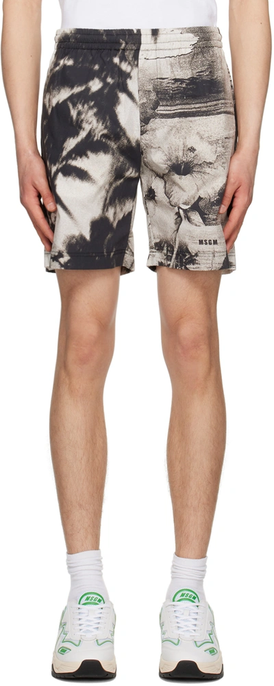 Msgm Dreaming Print Cotton Jogger Shorts In Gray
