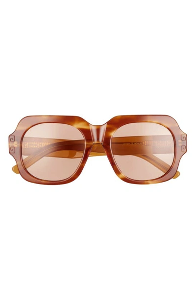 Pared 51.5mm Square Sunglasses In Havana Solid Amber Lenses