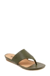 Softwalk Chandler Sandal In Dark Olive