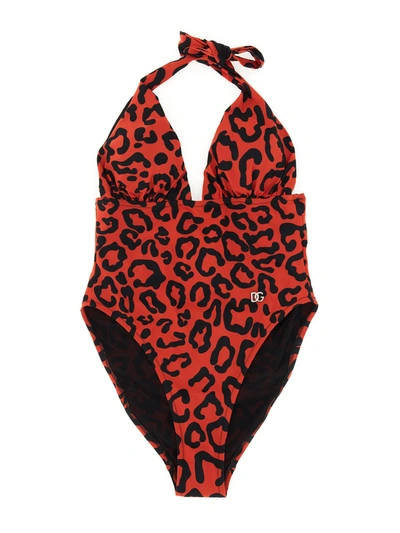 Dolce & Gabbana Leopard-print One-piece Swimsuit With Plunging Neckline In Multicolour