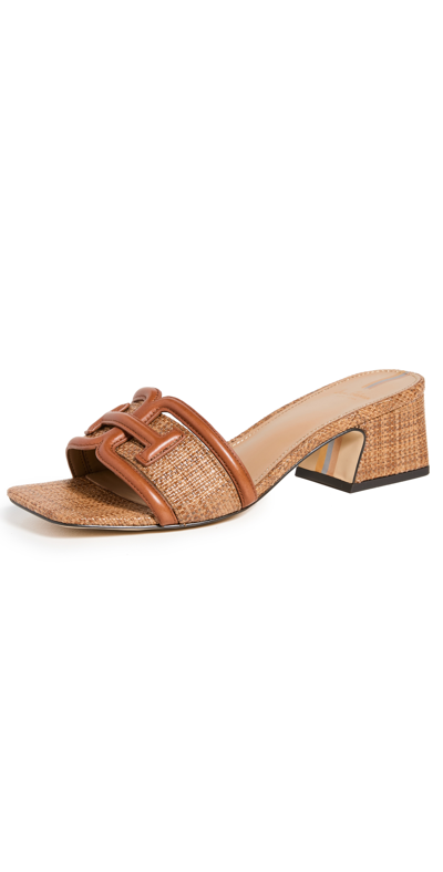 Sam Edelman Waylon Slide Sandal In Brown