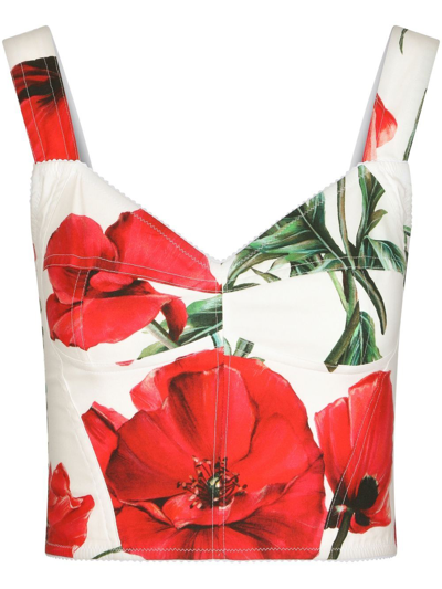 Dolce & Gabbana Floral Print Bustier Top In Papaveri Fdo Bco Nat