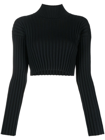 Wolford Rib-knit Cropped Jumper In Black