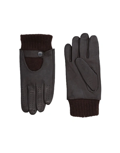 Versace Gloves In Dark Brown