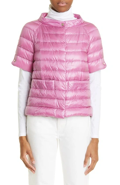 Herno Margherita Short-sleeved Puffer Jacket In Rosa