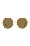 Tory Burch 55mm Geometric Sunglasses In Light Wood