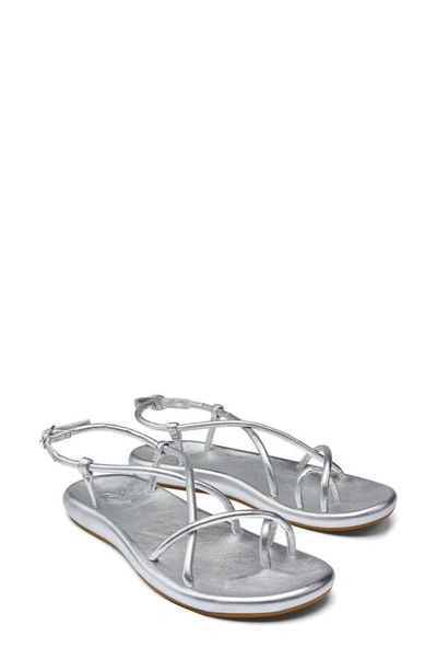 Olukai Waiau Sandal In Silver / Silver