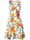 Dolce & Gabbana Floral Print Dress In Ham64 Fiori Rampicanti