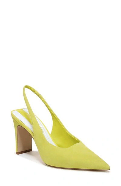 Franco Sarto Averie Slingback Pump In Apple Green Suede