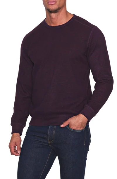 Tailorbyrd Big Crewneck Cozy Sweater In Berry